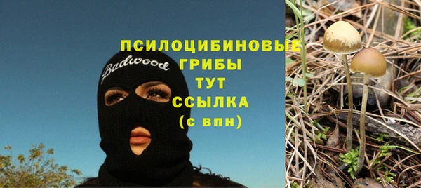 экстази Дмитриев