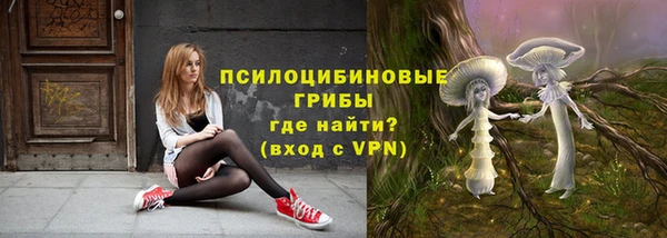 mdma Дмитров