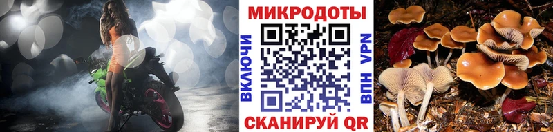 Галлюциногенные грибы Magic Shrooms Прохладный