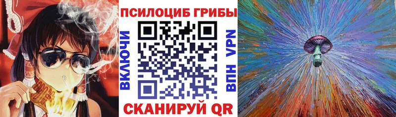 Псилоцибиновые грибы Cubensis  Купить где  Прохладный 